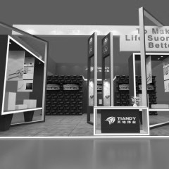 印度國際安防和消防展會(huì)IFSEC-天地偉業(yè)展位